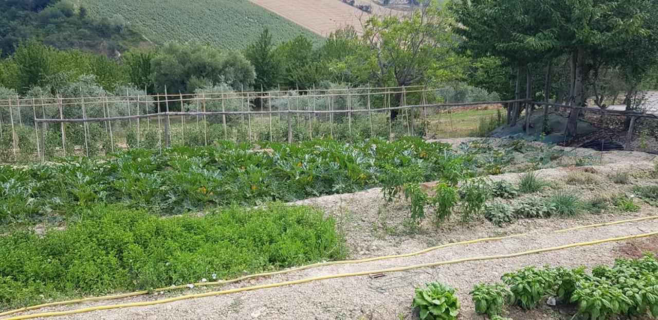 Agriturismo Fiore Di Campo Fermo Dış mekan fotoğraf